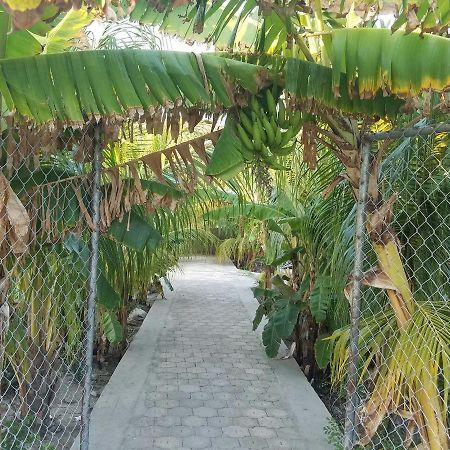 Auberge Pont-Gaudin Gonaives Ngoại thất bức ảnh